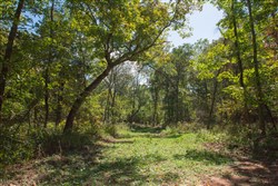 property photo for Wagon Wheel Ranch Tract 38, 10.25 acres for sale in Dent County, Missouri