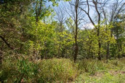 property photo for Wagon Wheel Ranch Tract 38, 10.25 acres for sale in Dent County, Missouri