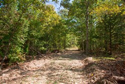property photo for Wagon Wheel Ranch Tract 39, 10 acres for sale in Dent County, Missouri