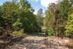 property photo for Wagon Wheel Ranch Tract 39, 10 acres for sale in Dent County, Missouri