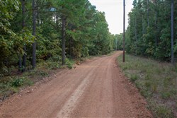 property photo for Wagon Wheel Ranch Tract 4, 5 acres for sale in Dent County, Missouri