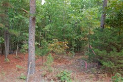 property photo for Wagon Wheel Ranch Tract 4, 5 acres for sale in Dent County, Missouri