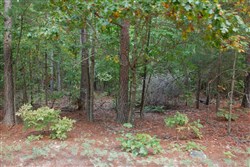 property photo for Wagon Wheel Ranch Tract 4, 5 acres for sale in Dent County, Missouri