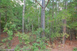 property photo for Wagon Wheel Ranch Tract 4, 5 acres for sale in Dent County, Missouri