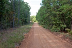 property photo for Wagon Wheel Ranch Tract 4, 5 acres for sale in Dent County, Missouri