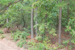 property photo for Wagon Wheel Ranch Tract 4, 5 acres for sale in Dent County, Missouri