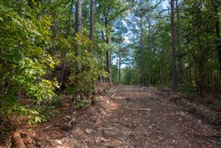 property photo for Wagon Wheel Ranch Tract 40, 10 acres for sale in Dent County, Missouri
