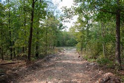 property photo for Wagon Wheel Ranch Tract 40, 10 acres for sale in Dent County, Missouri