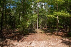 Wagon Wheel Ranch Tract 41