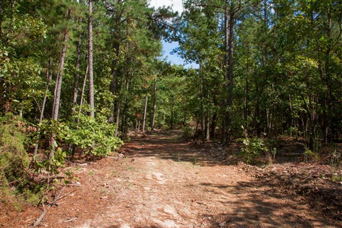 Wagon Wheel Ranch Tract 41