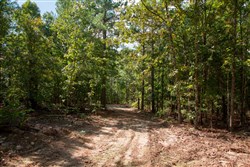 Wagon Wheel Ranch Tract 41