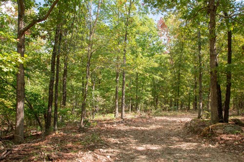 Wagon Wheel Ranch Tract 42