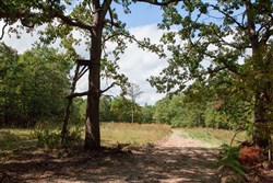 Wagon Wheel Ranch Tract 42