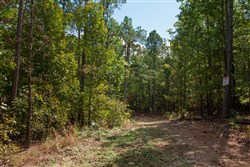 Wagon Wheel Ranch Tract 42