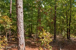 Wagon Wheel Ranch Tract 42