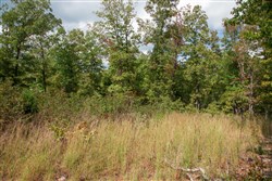 property photo for Wagon Wheel Ranch Tract 43, 7.56 acres for sale in Dent County, Missouri