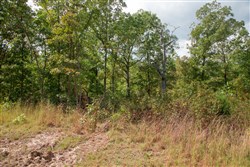 property photo for Wagon Wheel Ranch Tract 43, 7.56 acres for sale in Dent County, Missouri