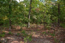 property photo for Wagon Wheel Ranch Tract 43, 7.56 acres for sale in Dent County, Missouri