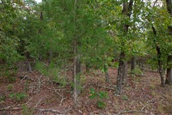 property photo for Wagon Wheel Ranch Tract 43, 7.56 acres for sale in Dent County, Missouri