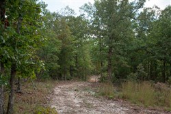 property photo for Wagon Wheel Ranch Tract 43, 7.56 acres for sale in Dent County, Missouri