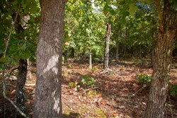 property photo for Wagon Wheel Ranch Tract 43, 7.56 acres for sale in Dent County, Missouri