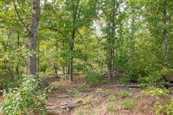 property photo for Wagon Wheel Ranch Tract 44, 7.57 acres for sale in Dent County, Missouri