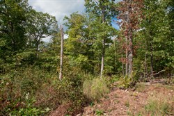 property photo for Wagon Wheel Ranch Tract 44, 7.57 acres for sale in Dent County, Missouri