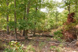 property photo for Wagon Wheel Ranch Tract 44, 7.57 acres for sale in Dent County, Missouri