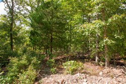 property photo for Wagon Wheel Ranch Tract 44, 7.57 acres for sale in Dent County, Missouri