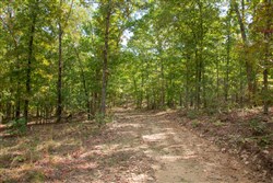 property photo for Wagon Wheel Ranch Tract 45, 5 acres for sale in Dent County, Missouri