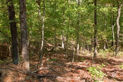 property photo for Wagon Wheel Ranch Tract 45, 5 acres for sale in Dent County, Missouri