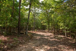 property photo for Wagon Wheel Ranch Tract 45, 5 acres for sale in Dent County, Missouri