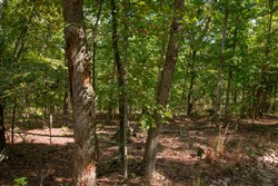 property photo for Wagon Wheel Ranch Tract 45, 5 acres for sale in Dent County, Missouri