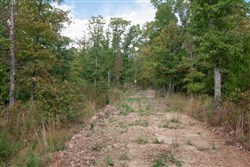property photo for Wagon Wheel Ranch Tract 46, 8.53 acres for sale in Dent County, Missouri