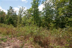 property photo for Wagon Wheel Ranch Tract 46, 8.53 acres for sale in Dent County, Missouri