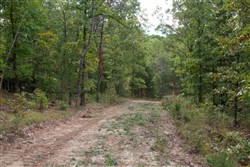 property photo for Wagon Wheel Ranch Tract 46, 8.53 acres for sale in Dent County, Missouri