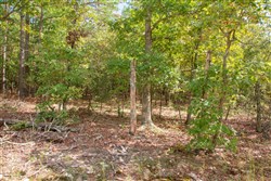 property photo for Wagon Wheel Ranch Tract 46, 8.53 acres for sale in Dent County, Missouri