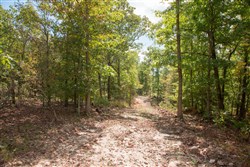 property photo for Wagon Wheel Ranch Tract 46, 8.53 acres for sale in Dent County, Missouri