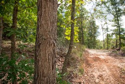 property photo for Wagon Wheel Ranch Tract 46, 8.53 acres for sale in Dent County, Missouri