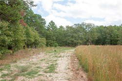 property photo for Wagon Wheel Ranch Tract 47, 9.09 acres for sale in Dent County, Missouri
