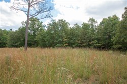 property photo for Wagon Wheel Ranch Tract 47, 9.09 acres for sale in Dent County, Missouri
