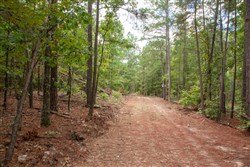 property photo for Wagon Wheel Ranch Tract 47, 9.09 acres for sale in Dent County, Missouri