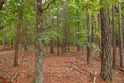 property photo for Wagon Wheel Ranch Tract 47, 9.09 acres for sale in Dent County, Missouri
