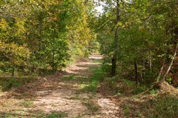 property photo for Wagon Wheel Ranch Tract 48, 9.77 acres for sale in Dent County, Missouri