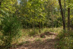 property photo for Wagon Wheel Ranch Tract 48, 9.77 acres for sale in Dent County, Missouri