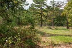 property photo for Wagon Wheel Ranch Tract 48, 9.77 acres for sale in Dent County, Missouri