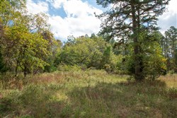 property photo for Wagon Wheel Ranch Tract 48, 9.77 acres for sale in Dent County, Missouri