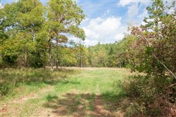 property photo for Wagon Wheel Ranch Tract 48, 9.77 acres for sale in Dent County, Missouri