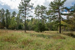 property photo for Wagon Wheel Ranch Tract 48, 9.77 acres for sale in Dent County, Missouri