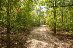property photo for Wagon Wheel Ranch Tract 49, 9.98 acres for sale in Dent County, Missouri
